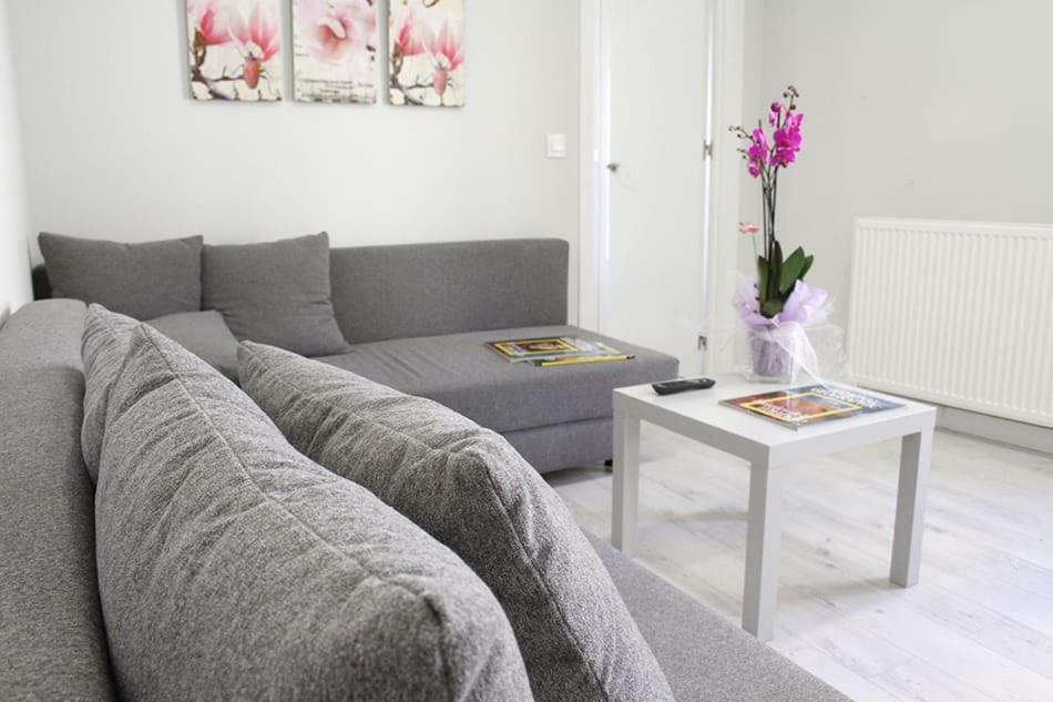 Apartamentos Logrono Centro Logroño Exterior foto